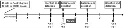 Susceptibility to Hyperglycemia in Rats With Stress-Induced Depressive-Like Behavior: Involvement of IL-6 Mediated Glucose Homeostasis Signaling